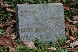 Effie A. <I>Cooper</I> Burch 