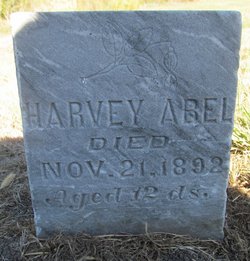 Harvey Abel 