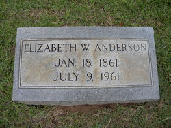 Elizabeth W. Anderson 