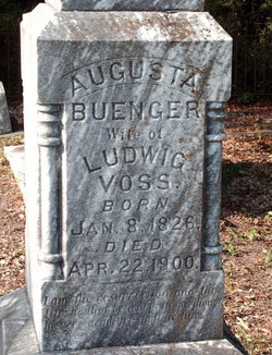 Augusta <I>Buenger</I> Voss 