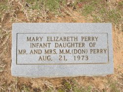 Mary Elizabeth Perry 