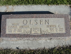 Fannie Amelia “Millie” <I>Hopkin</I> Olsen 