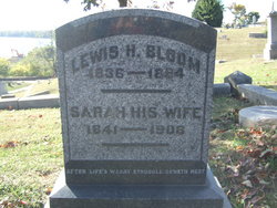 Lewis H Bloom 