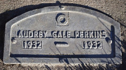 Audrey Gale Perkins 
