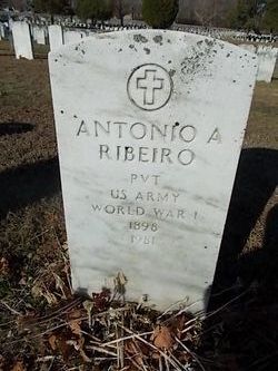 Antonio A Ribeiro 