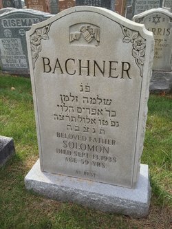Solomon Bachner 