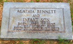 Agathia <I>Bassett</I> Bennett 
