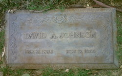 David Albion Johnson 