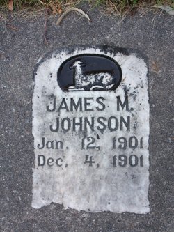 James M Johnson 
