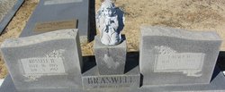 Ida Laura <I>Ward</I> Braswell 