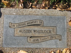 Austin Whitlock 