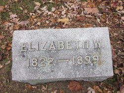 Elizabeth W Johnson 