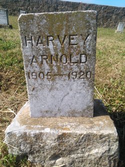 Harvey Arnold 