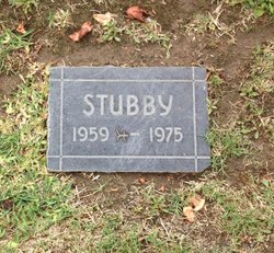 Stubby 