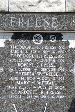 Theodore Thomas Freese Jr.