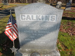 Herbert Henry Calkins 
