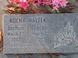Joshua Rocha-Walter 