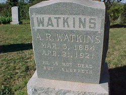 Alfred Robert Watkins 