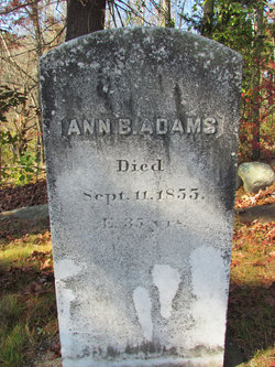 Ann B Adams 