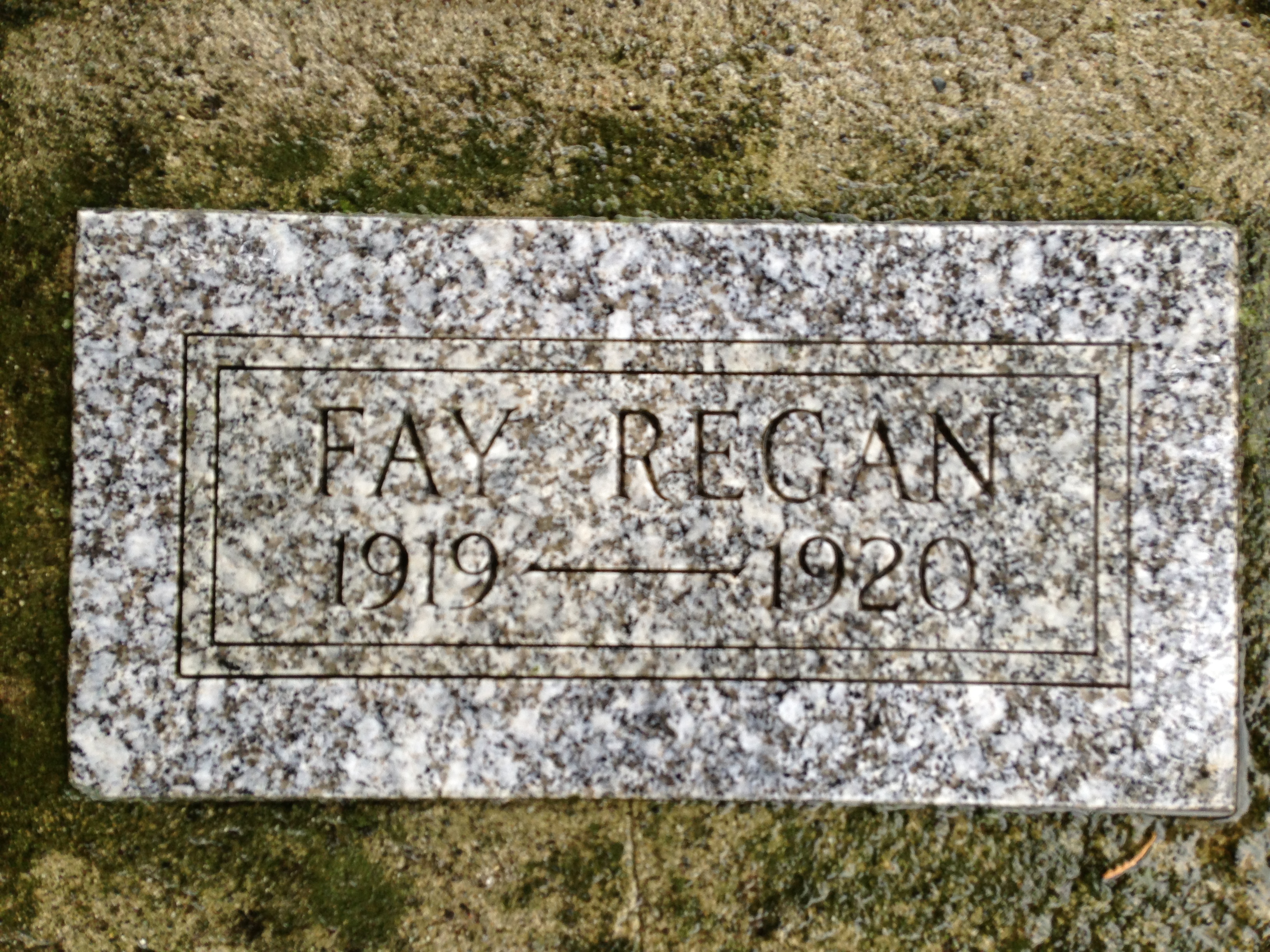 Faye regan