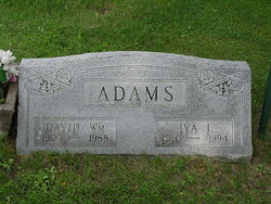 David William Adams 