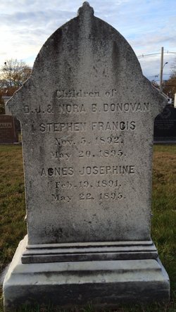 Stephen Francis Donovan 