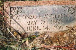 Alonzo Albert Anderson 
