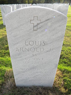 Louis Arnold Jr.