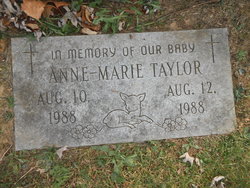 Anne Marie Taylor 