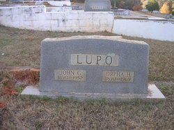 John Green Lupo 