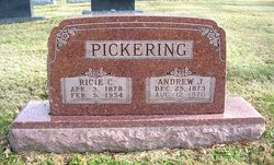 Andrew J Pickering 