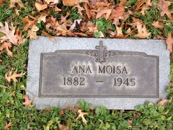 Ana Moisa 