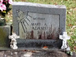 Mary Ann <I>Adams</I> Aylor 