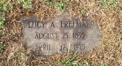 Lucy Ann <I>Abernethy</I> Freeman 