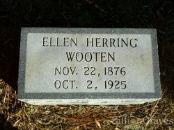 Ellen <I>Johnson</I> Herring Wooten 