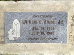 William C. Alden Jr.