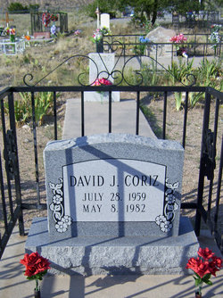 David J Coriz 