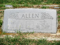 Henry S Allen 