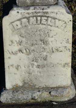 Daniel Webster Hartwell 