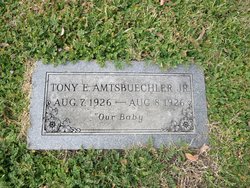Tony E Amtsbuechler Jr.