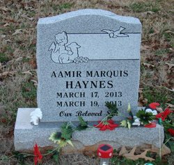 Aamir Marquis Haynes 