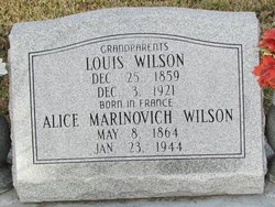 Alice <I>Marinovich</I> Wilson 