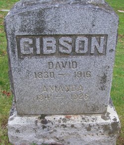 David Gibson 