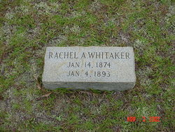 Rachel Annie Whitaker 