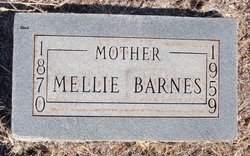Melvina L. “Mellie” <I>Hawkins</I> Barnes 