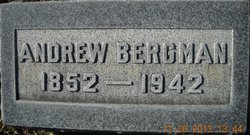 Andrew Bergman 