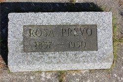 Rosa Prevo 
