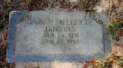 Sarah Ann <I>Mellette</I> Dinkins 