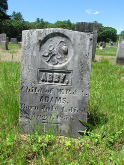 Abby Adams 