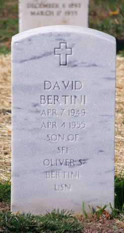 David Bertini 